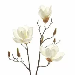 Cheapest ❤️ White Magnolia Branch Stem by Ashland® 🛒 -Ashland Online Store 10468846 2