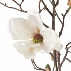 Cheapest ❤️ White Magnolia Branch Stem by Ashland® 🛒 -Ashland Online Store 10468846 20