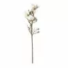 Cheapest ❤️ White Magnolia Branch Stem by Ashland® 🛒 -Ashland Online Store 10468846 21