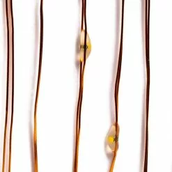 Best Pirce 🔥 12 Pack: 40ct. Warm White Copper Wire LED String Lights by Ashland® ⭐ -Ashland Online Store 10473563 3 1