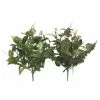 Best reviews of ✨ 8 Pack: Assorted Mixed Greenery Bush by Ashland® 💯 -Ashland Online Store 10482176 1