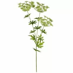 New 😉 12 Pack: Light Green Queen Anne's Lace Spray by Ashland® 👍