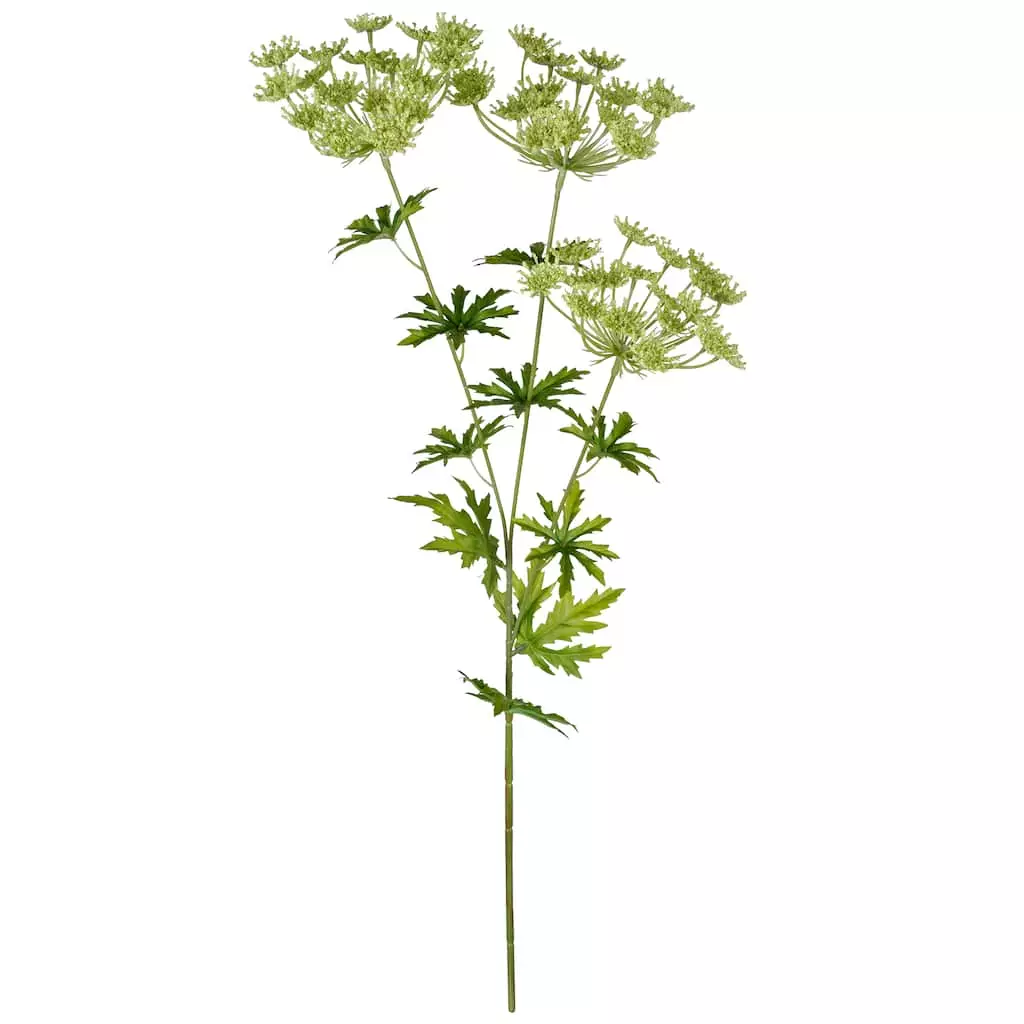 New ๐ 12 Pack: Light Green Queen Anne's Lace Spray by Ashland® ๐ 3 New ๐ 12 Pack: Light Green Queen Anne's Lace Spray by Ashland® ๐