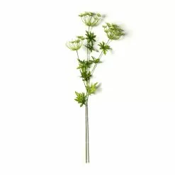 Best deal ⭐ Queen Anne's Lace Spray by Ashland® 😉