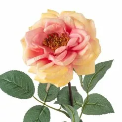 Flash Sale 👏 Orlane Rose Stem by Ashland® 🎉 -Ashland Online Store 10501486 20