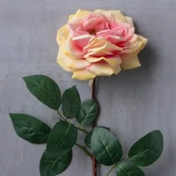 Flash Sale 👏 Orlane Rose Stem by Ashland® 🎉 -Ashland Online Store 10501486 22