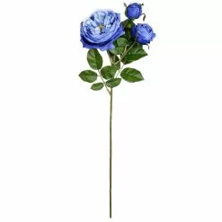 Budget 🛒 12 Pack: Blue English Rose Stem by Ashland® 😀