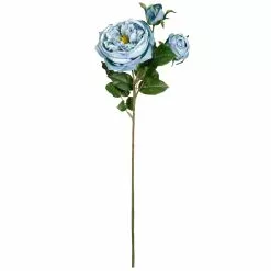 Coupon 🤩 12 Pack: Teal English Rose Stem by Ashland® 👍