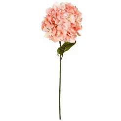 Best Sale ❤️ Coral Two-Toned Hydrangea Stem by Ashland® 😀 -Ashland Online Store 10501508