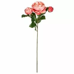 Best Sale ❤️ 12 Pack: Pink Coral English Rose Stem by Ashland® ✨