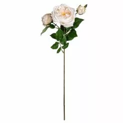 Best deal 🎉 Toast English Rose Stem by Ashland® 🔔