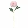 Promo โจ 12 Pack: Light Pink Peony Stem by Ashland® ๐ 2 Promo โจ 12 Pack: Light Pink Peony Stem by Ashland® ๐ -Ashland Online Store 10501951