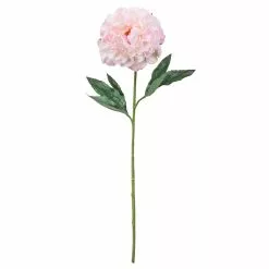 Promo ✨ 12 Pack: Light Pink Peony Stem by Ashland® 🎉
