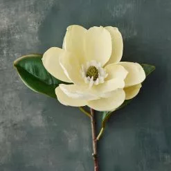 Cheapest 🥰 White Magnolia Stem by Ashland® 🎉 -Ashland Online Store 10501956 20