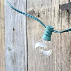 Best reviews of ⭐ 16ct. Round G40 Bulb String Lights by Ashland™ ⌛ -Ashland Online Store 10502272 3