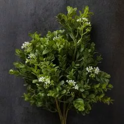 Coupon 👍 Boxwood & Berry Bush by Ashland® ✨ -Ashland Online Store 10546917 22