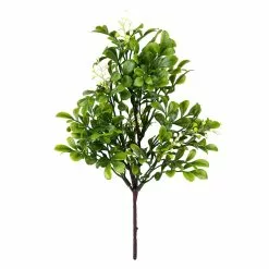 Coupon 🔥 24 Pack: Green Boxwood Pick by Ashland® 🔔