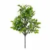 Top 10 ⭐ Boxwood Pick By Ashland® 🎁 -Ashland Online Store 10546920 1
