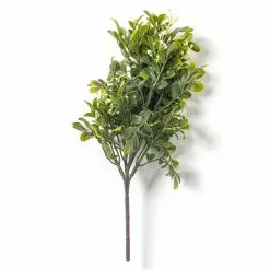 Top 10 ⭐ Boxwood Pick By Ashland® 🎁 -Ashland Online Store 10546920 21