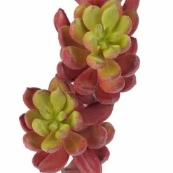 Brand new 🎁 Assorted Succulent Pick with 3 Heads By Ashland® 👍 -Ashland Online Store 10546921 2
