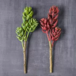 Brand new 🎁 Assorted Succulent Pick with 3 Heads By Ashland® 👍 -Ashland Online Store 10546921 22