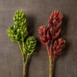 Brand new 🎁 Assorted Succulent Pick with 3 Heads By Ashland® 👍 -Ashland Online Store 10546921 25