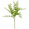 Cheap ✔️ 18 Pack: Assorted Fern Pick by Ashland® 👍 -Ashland Online Store 10546923 1 1