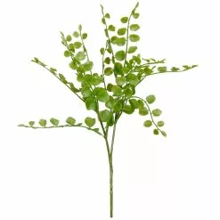 Coupon ⌛ Assorted Fern Pick By Ashland® 🔔