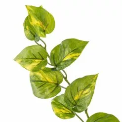 Deals ✔️ Hanging Philo Bush by Ashland® ⌛ -Ashland Online Store 10547222 20