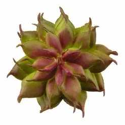 Promo ⭐ Assorted Succulent Pick By Ashland® ⌛ -Ashland Online Store 10547225 2