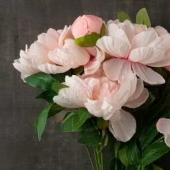 New ❤️ Coral Peony Bush by Ashland® 🔥 -Ashland Online Store 10547347 25