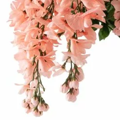 Budget 😍 Coral Wisteria Bush by Ashland® 🎁 -Ashland Online Store 10547397 20