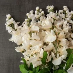 Wholesale ❤️ Cream Wisteria Bush by Ashland® 😍 -Ashland Online Store 10547398 25