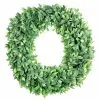Top 10 ❤️ 20" Plastic Foliage Wreath by Ashland® ✔️ -Ashland Online Store 10547486 1