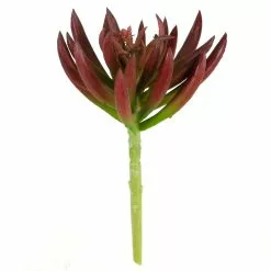 Promo 😉 Assorted Succulent Pick By Ashland® 🤩 -Ashland Online Store 10547488 1