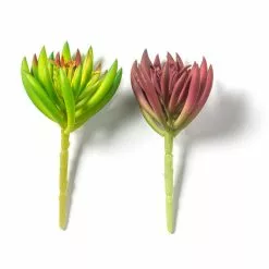 Promo 😉 Assorted Succulent Pick By Ashland® 🤩 -Ashland Online Store 10547488 21