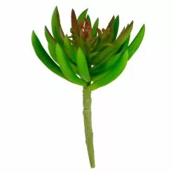 Best Sale ✨ 12 Pack: Assorted Succulent Pick by Ashland® 🧨 -Ashland Online Store 10547488 3 1