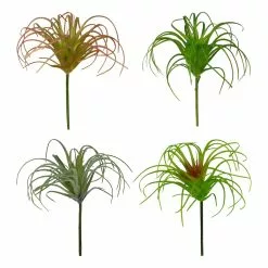 Cheap ✨ Assorted Tillandsia Pick By Ashland® 🔔