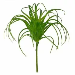 Outlet 🎁 24 Pack: Assorted Tillandsia Pick by Ashland® 🎉 -Ashland Online Store 10547489 2 1
