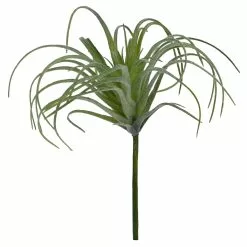 Cheap ✨ Assorted Tillandsia Pick By Ashland® 🔔 -Ashland Online Store 10547489 4