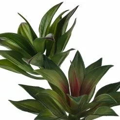 Coupon 🎉 Assorted Agave Pick By Ashland® 😉 -Ashland Online Store 10547490 20