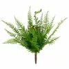 Cheapest 🔔 8 Pack: Green Boston Fern Bush by Ashland® 🔥 -Ashland Online Store 10547493