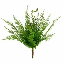 Cheapest 🔔 8 Pack: Green Boston Fern Bush by Ashland® 🔥