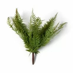 Budget 🥰 Boston Fern Bush by Ashland® ❤️ -Ashland Online Store 10547493 21