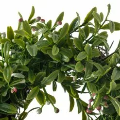 Cheap 🔥 10" Pink Baby's Breath Wreath by Ashland® 👍 -Ashland Online Store 10547546 20