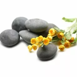 Best Sale ❤️ Large Washed Black Stones by Ashland ⭐ -Ashland Online Store 10552993 3