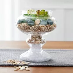 Wholesale 💯 Sandalwood Glass Gems By Ashland™ 😀 -Ashland Online Store 10556559 20 1