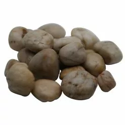 Coupon ⭐ 16 Pack: Brown River Rocks by Ashland® 🥰