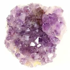 Wholesale ❤️ 12 Pack: Amethyst Cluster by Ashland® 😀 -Ashland Online Store 10558677 2