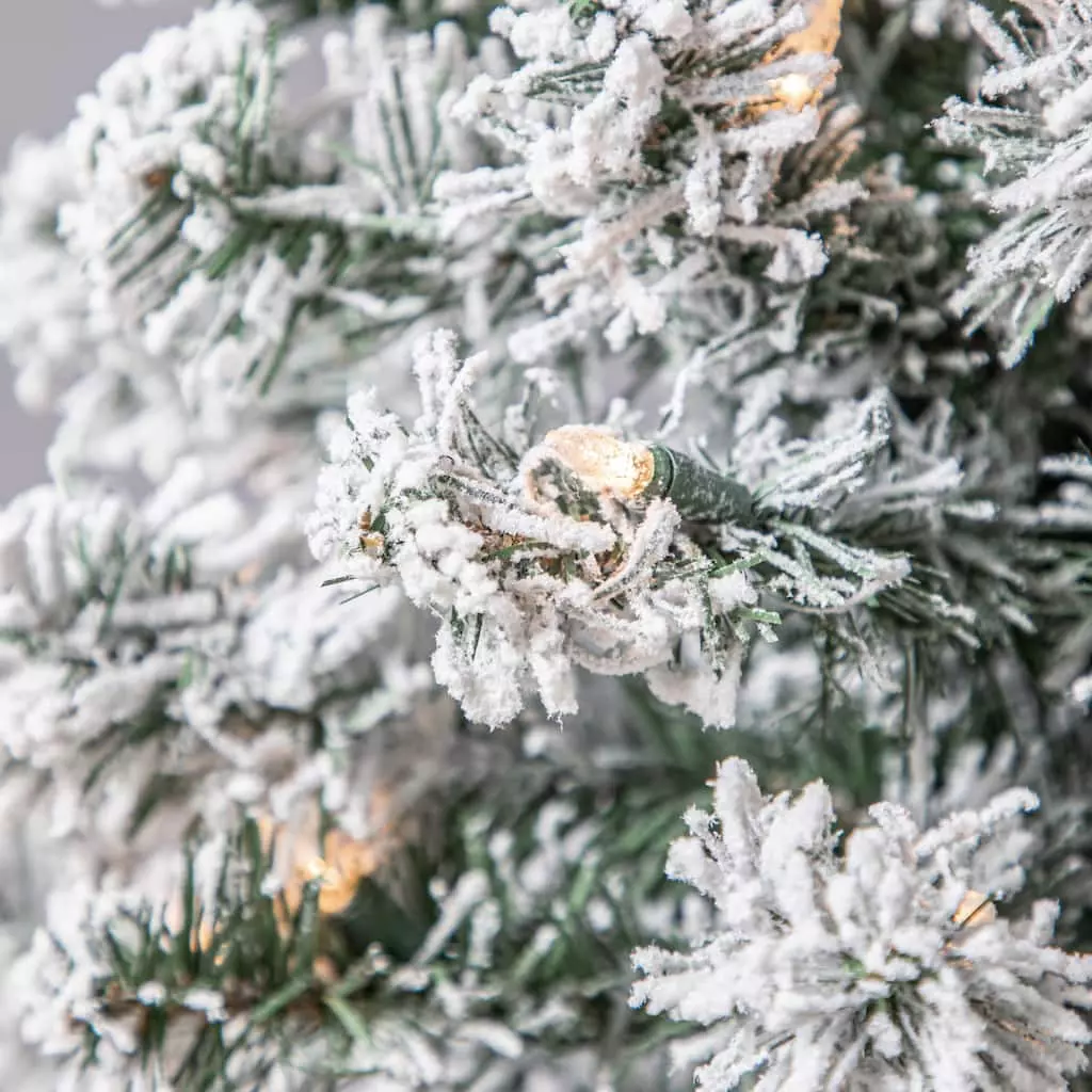 Best reviews of โ๏ธ 4ft. Pre-Lit Cypress Artificial ๐ Christmas Tree, Clear Lights by Ashland® โ๏ธ 6 Best reviews of โ๏ธ 4ft. Pre-Lit Cypress Artificial ๐ Christmas Tree, Clear Lights by Ashland® โ๏ธ - Image 4